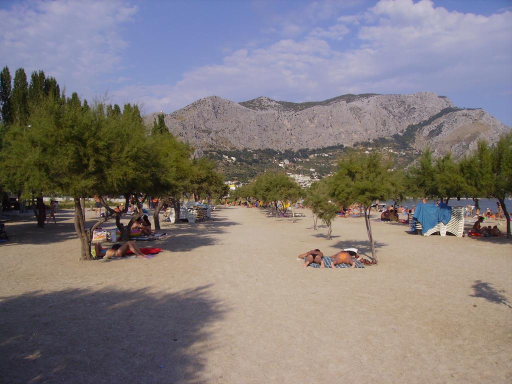 Ante Omiš